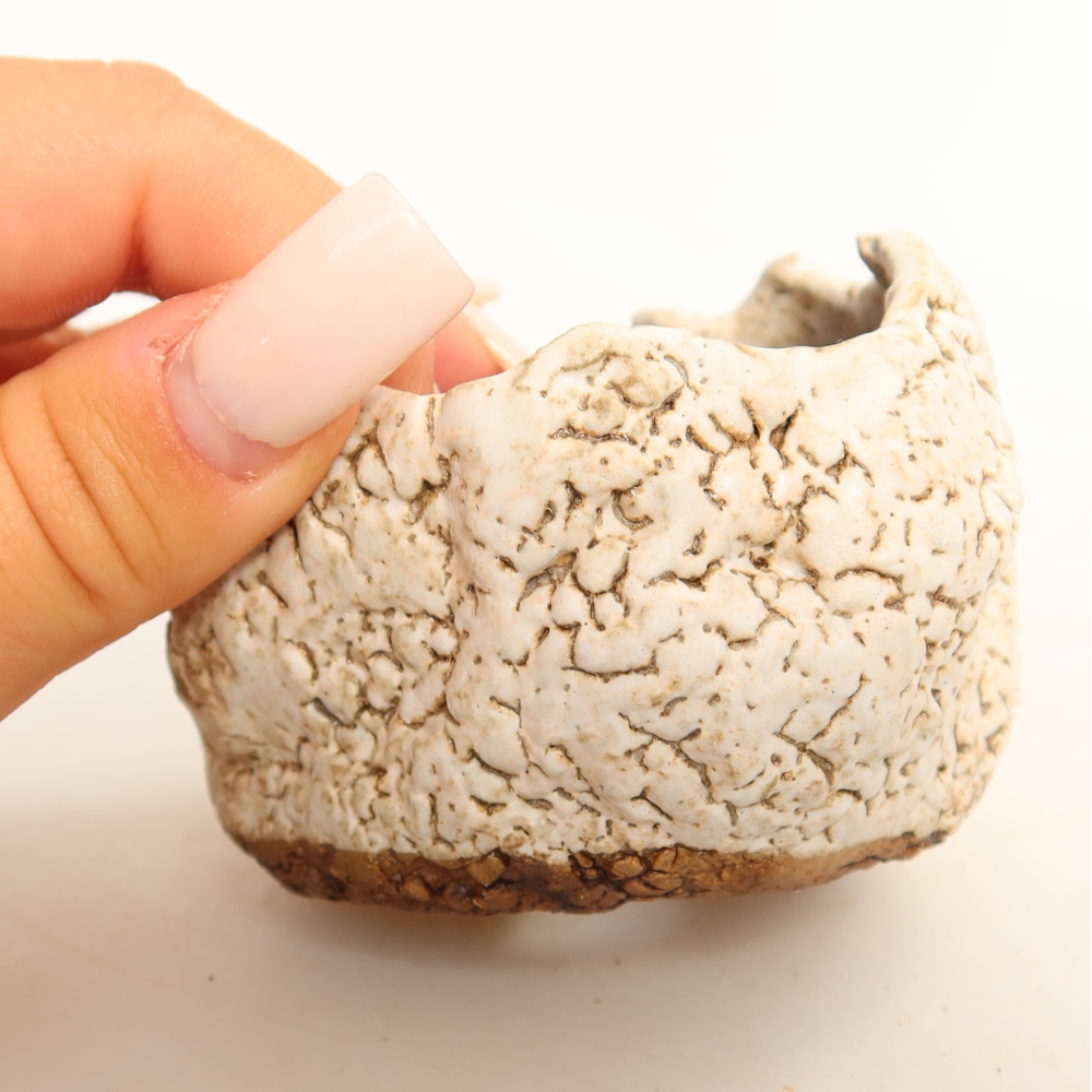 Ceramic Shell, 7 x 7 x 6 cm, white