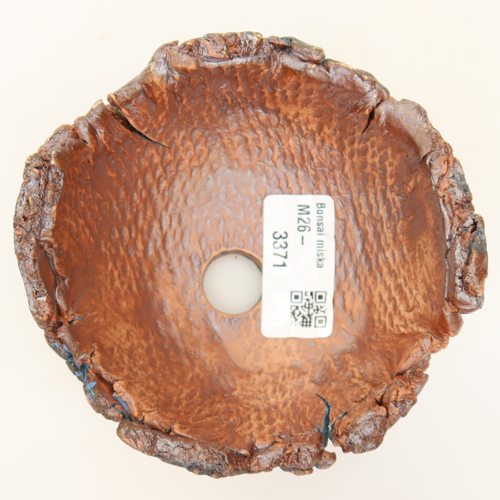 Ceramic Shell, 11 x 10.5 x 6.5 cm, blue