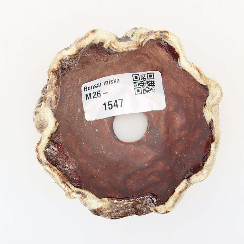 Ceramic Shell, 7 x 7 x 5 cm, brown-white