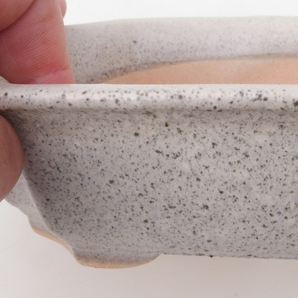 Bonsai bowl H17 - 15 x 10 x 4 cm. - beige