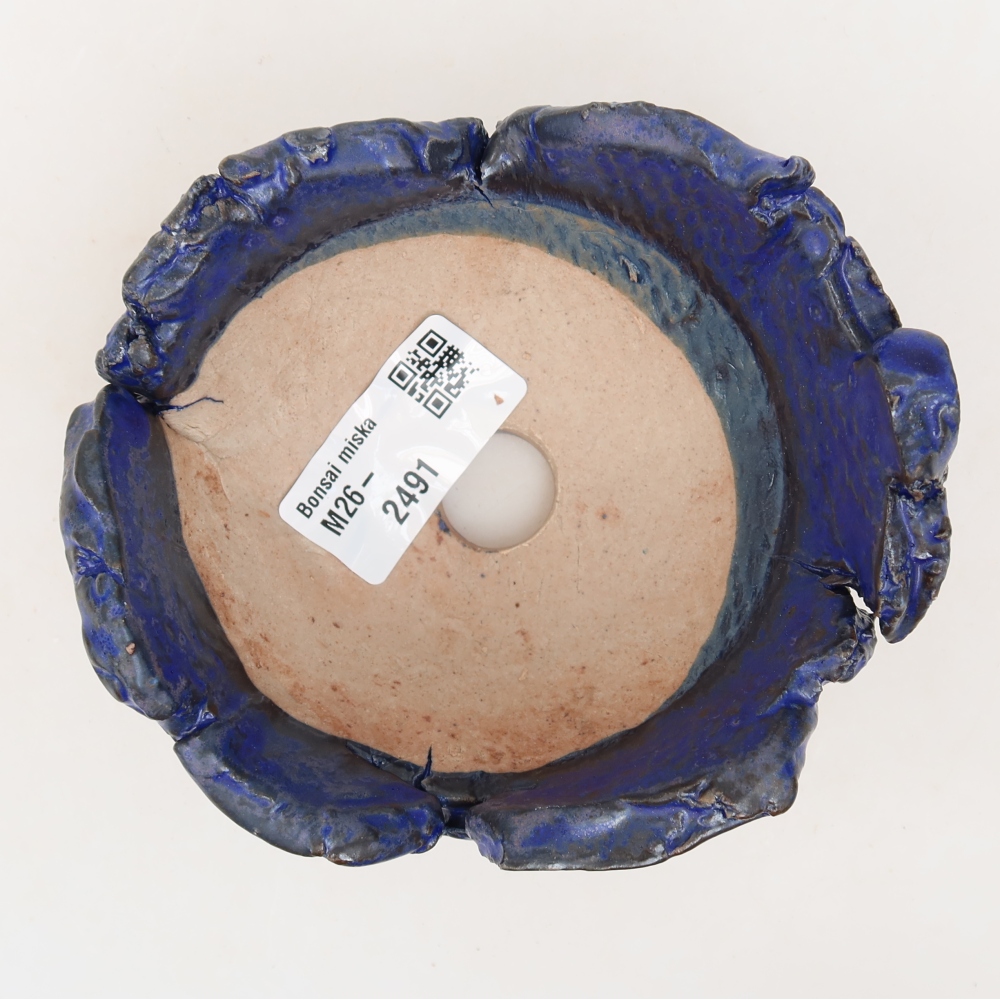 Ceramic Shell  11.5 x 10.5 x 6 cm, blue