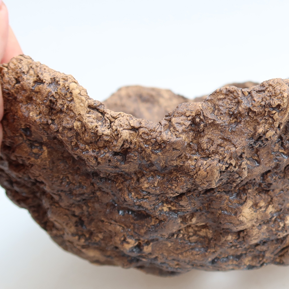 Ceramic Shell, 21 x 20.5 x 16 cm, brown