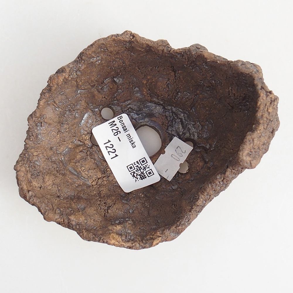 Ceramic Shell 10 x 8 x 9,5 cm , colour brown