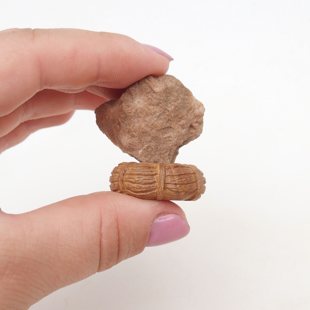 Suiseki - Stone with DAI (wooden pad)