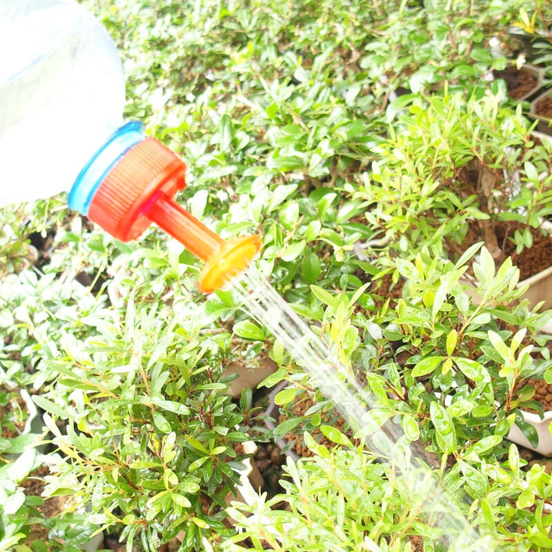 Bonsai sprayer for PET bottle bottle 10pcs red