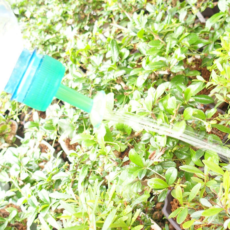 Bonsai watering can for PET bottle 5pcs green