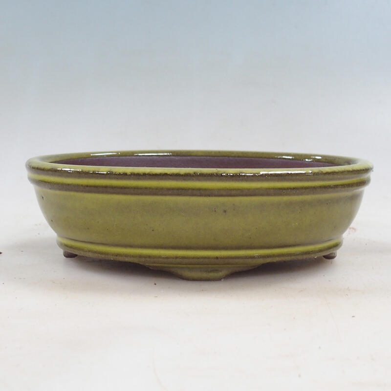 Bonsai bowl 15.5 x 11.5 x 4.5 cm, color yellow