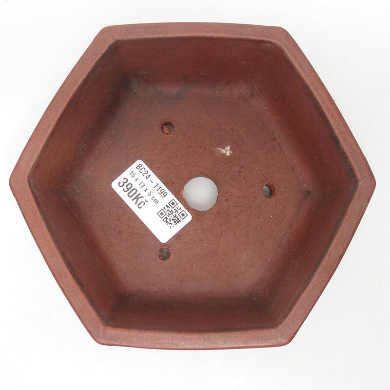 Bonsai bowl 15 x 14 x 5.5 cm, color brown
