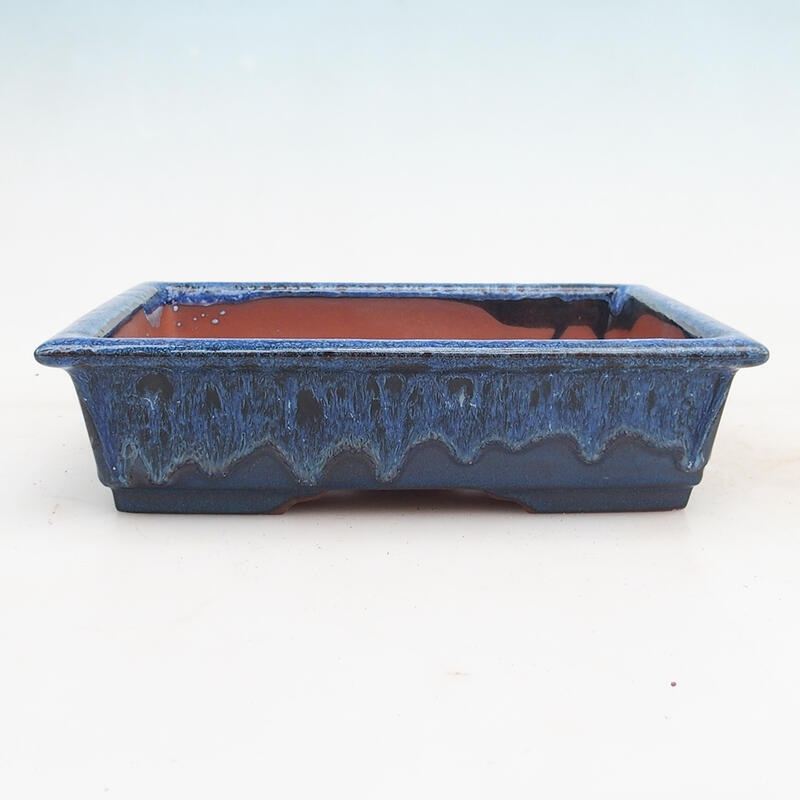 Bonsai bowl 21.5 x 16 x 5 cm, color blue