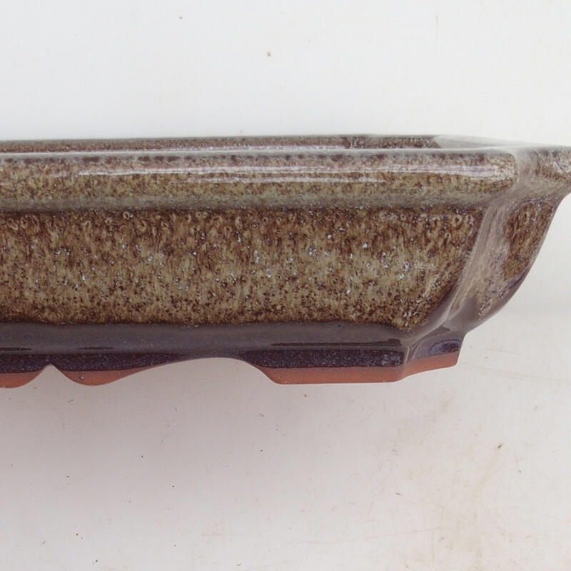 Bonsai bowl 22 x 16.5 x 4 cm, color brown