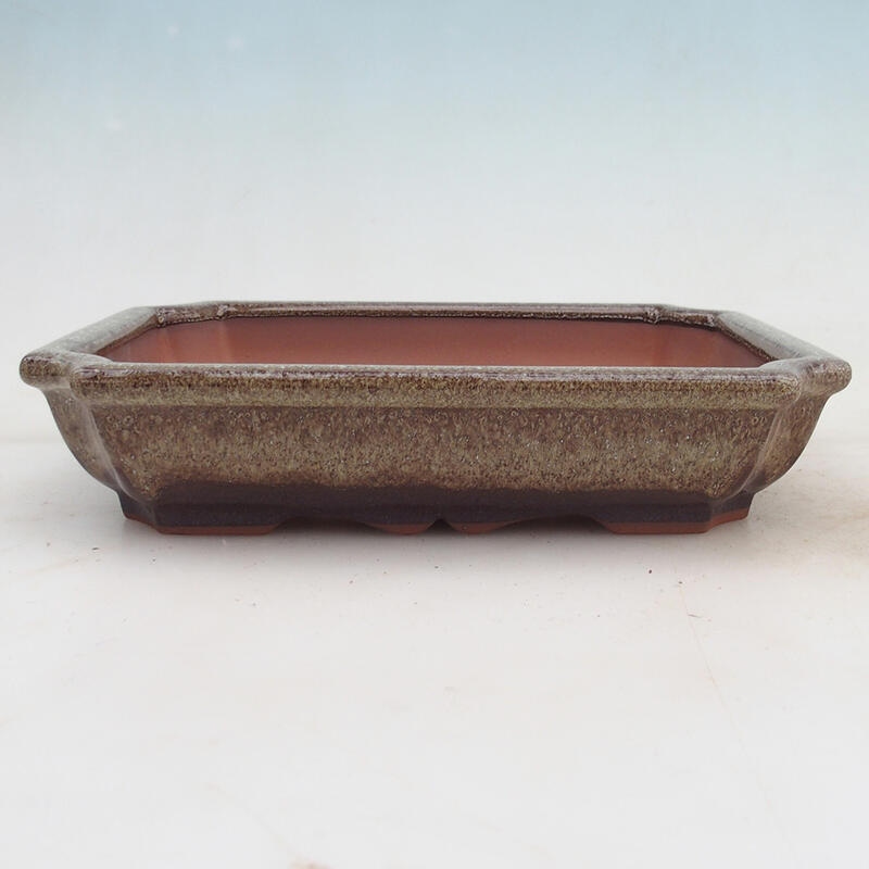 Bonsai bowl 22 x 16.5 x 4 cm, color brown