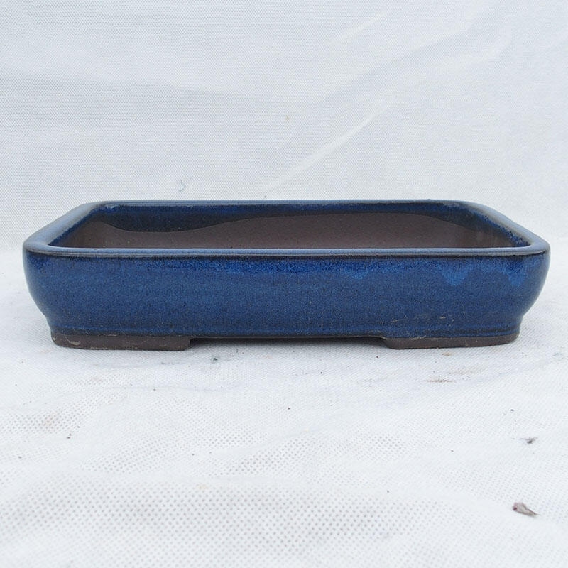 Bonsai bowl 25 x 17 x 5 cm, color blue