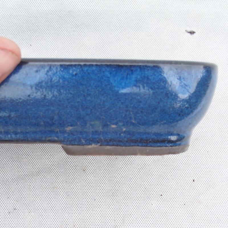 Bonsai bowl 25 x 17 x 5 cm, color blue