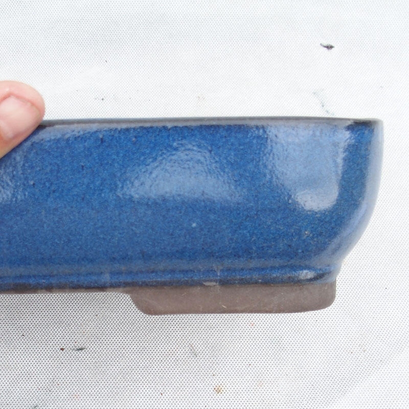 Bonsai bowl 30 x 21 x 7 cm, color blue