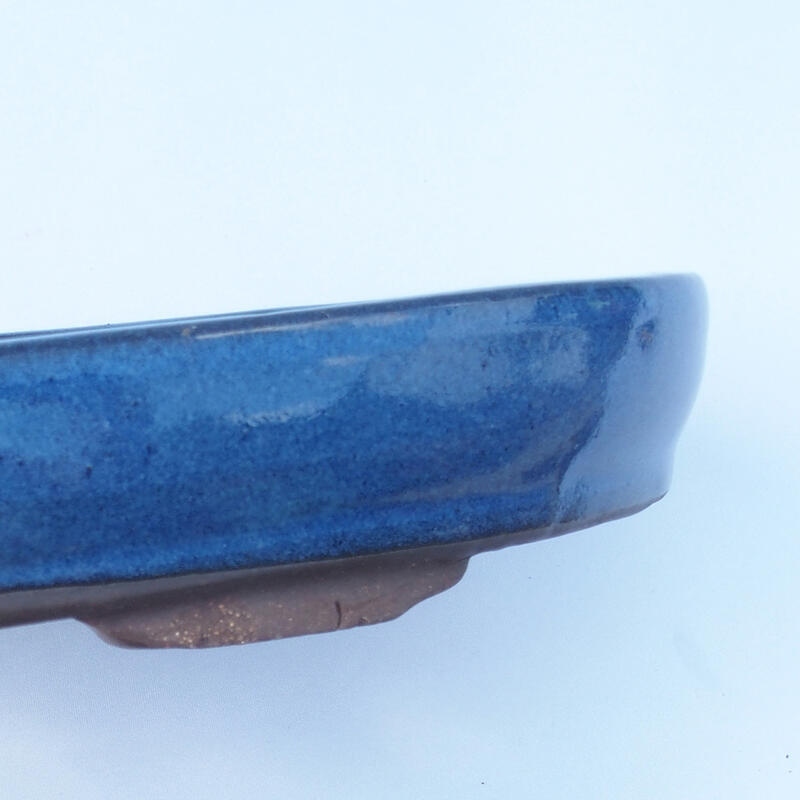 Bonsai bowl 30 x 20 x 4,5 cm color blue