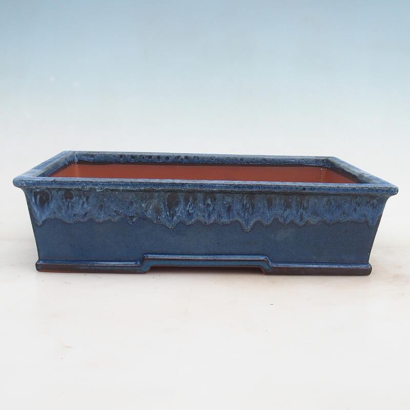 Bonsai bowl 31 x 22 x 8 cm, color blue