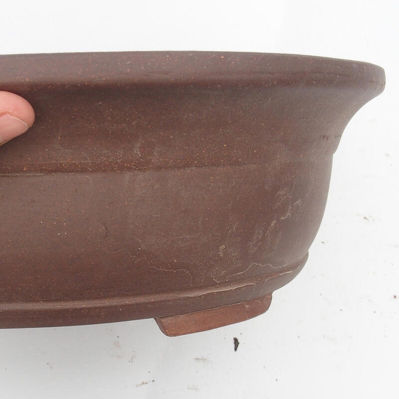 Bonsai bowl 36 x 31 x 12 cm - Japanese quality