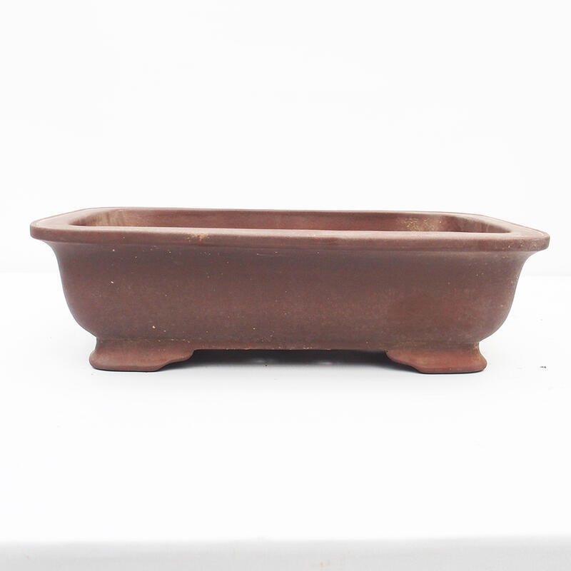 Bonsai bowl 43 x 31 x 12 cm - Japanese quality