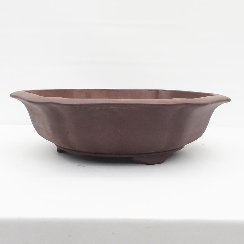 Bonsai bowl 50 x 47 x 14 cm - Japanese quality