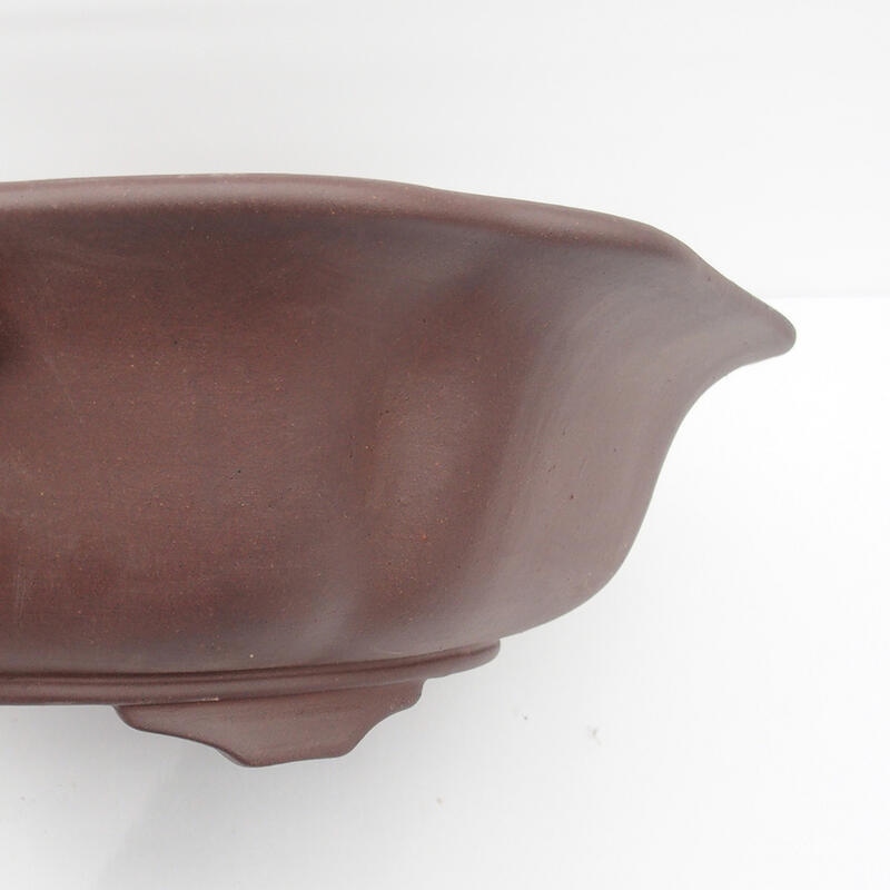 Bonsai bowl 50 x 47 x 14 cm - Japanese quality