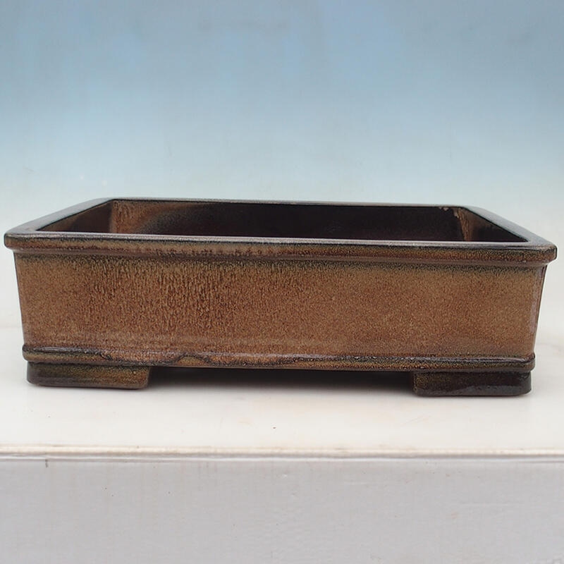 Bonsai bowl 52 x 41 x 15 cm, color brown - pallet transport only
