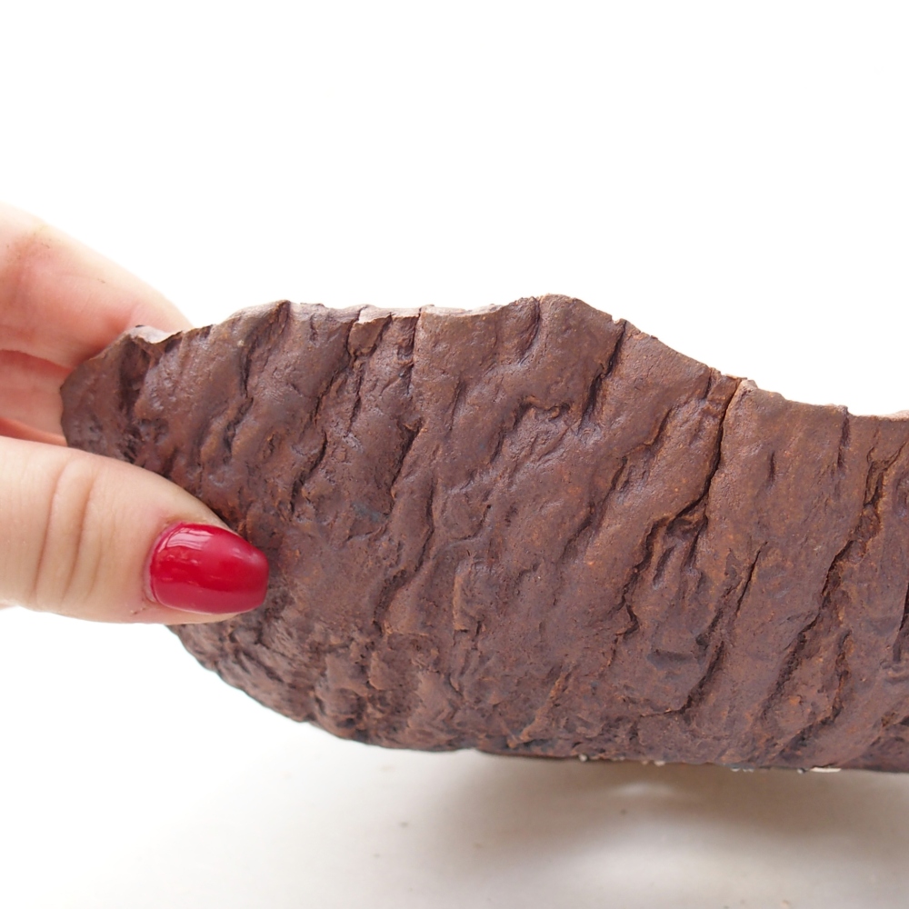 Ceramic shell 19 x 18 x 5,5 cm , colour brown