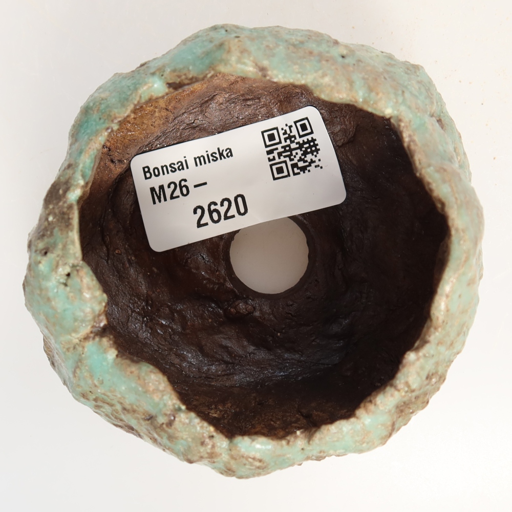 Ceramic Shell, 7 x 7 x 5.5 cm, green