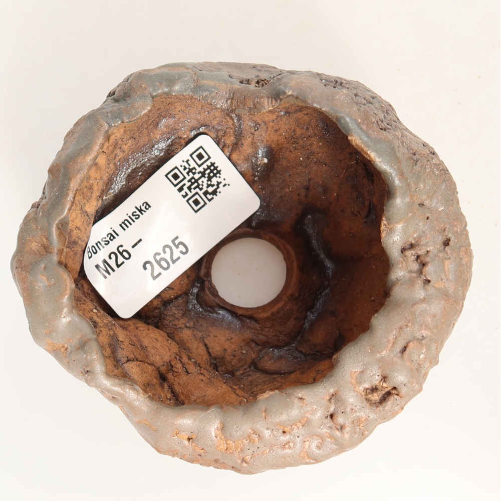 Ceramic Shell  8 x 7.5 x 4.5 cm, green