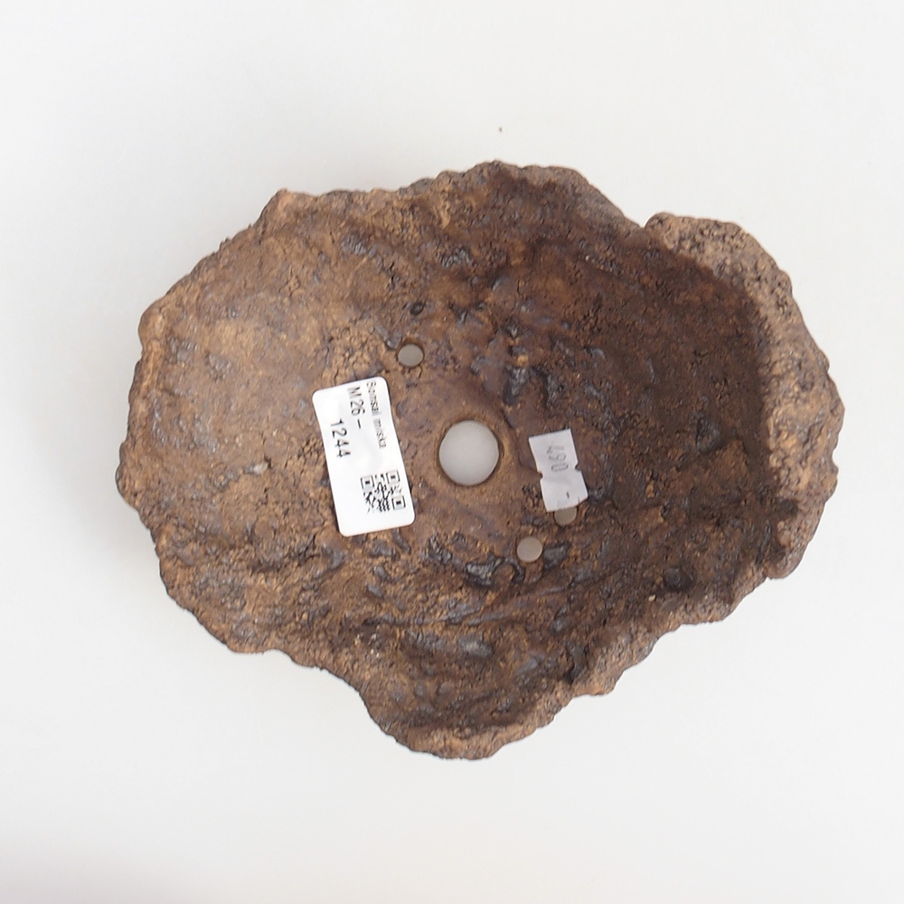 Ceramic shell 14,5 x 13 x 13 cm , colour brown