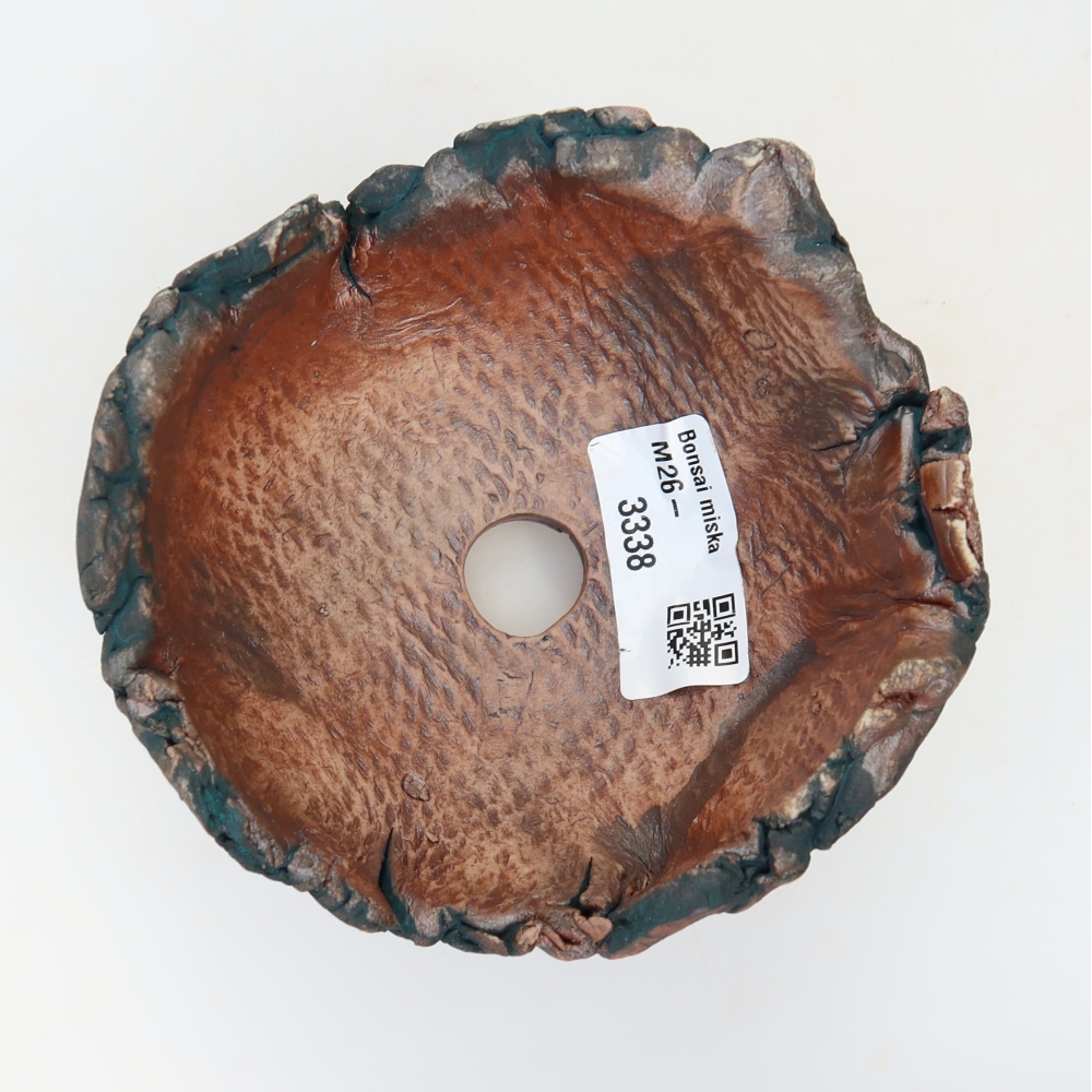 Ceramic Shell  10.5 x 11 x 7 cm, green