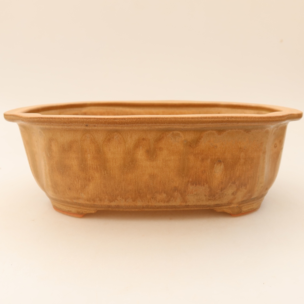 Ceramic bonsai pot, 22.5 x 17.5 x 7.5 cm, beige