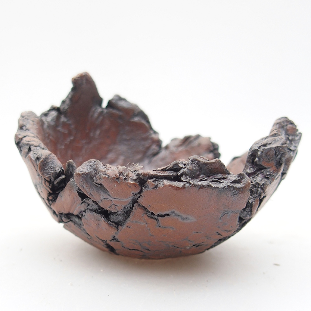 Ceramic shell 7 x 8 x 5.5 cm, color brown