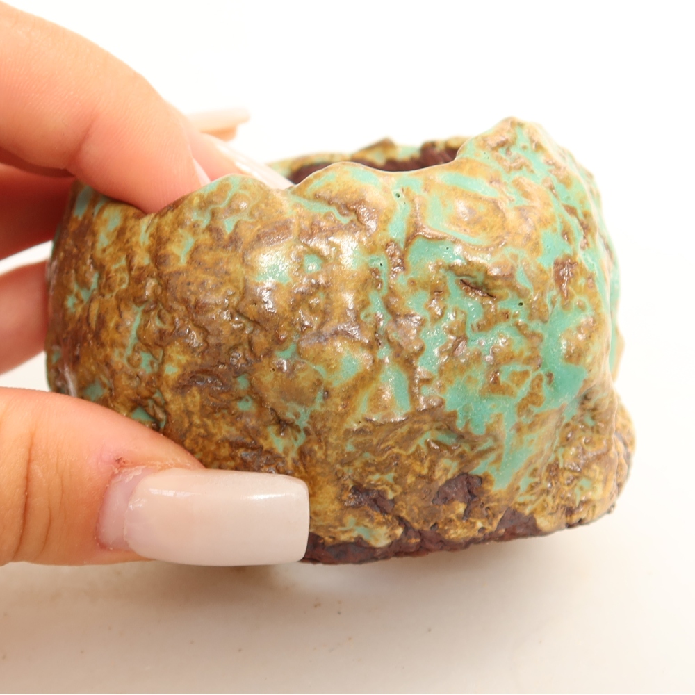 Ceramic Shell, 7 x 7 x 5.5 cm, green