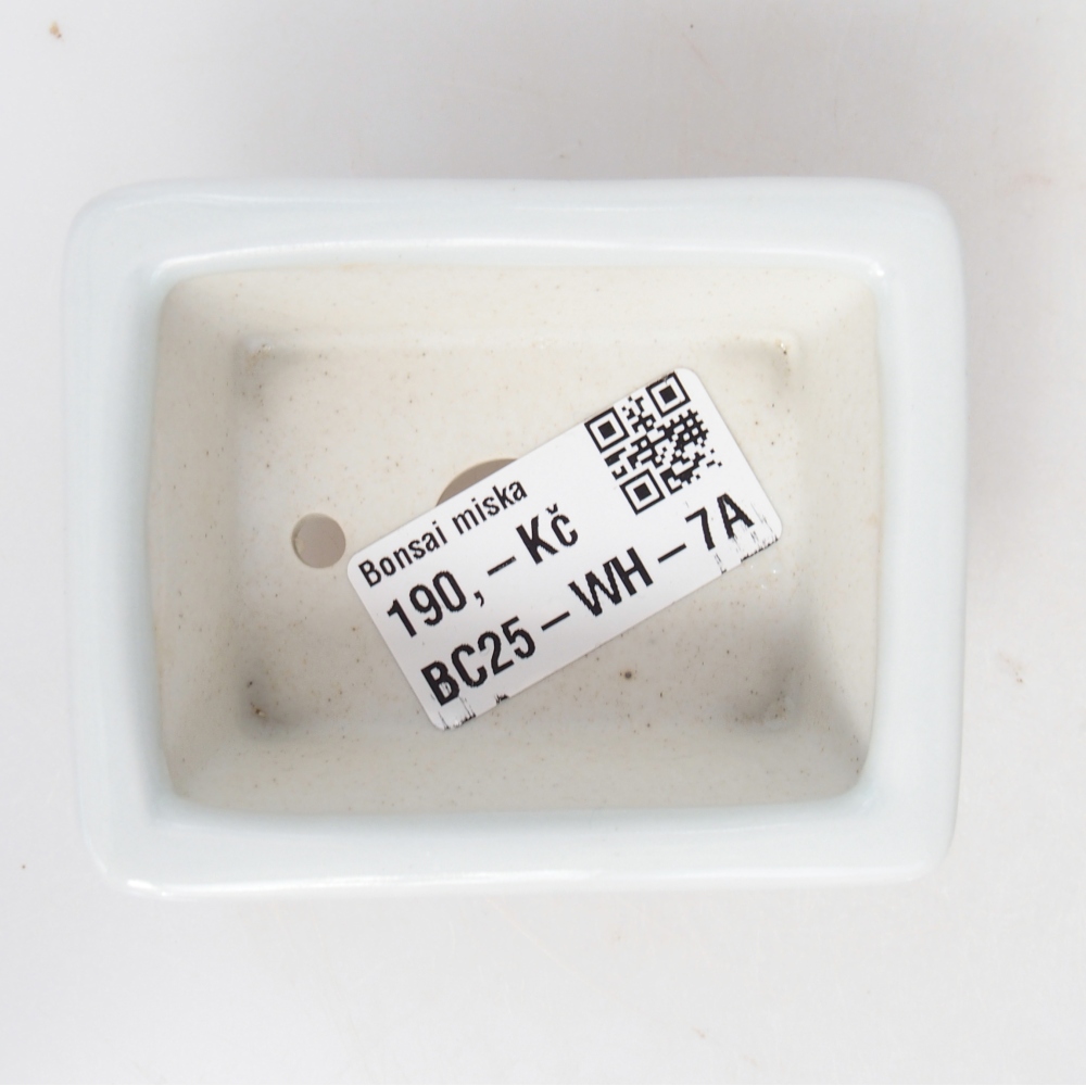 Mini bonsai bowl 8 x 6 x 3 cm, white