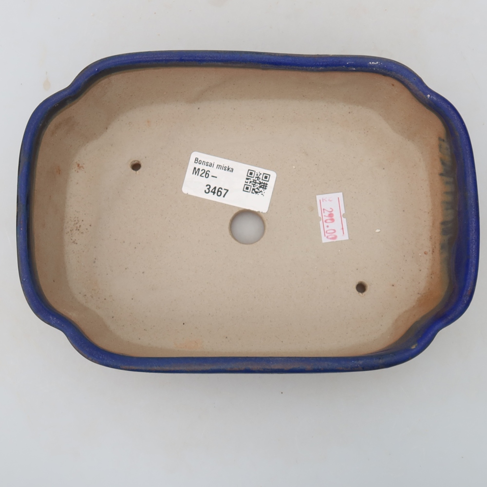Ceramic Bonsai Pot, 18.5 x 13 x 5 cm, Blue