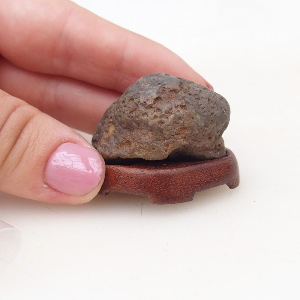 Suiseki - Stone with DAI (wooden pad)
