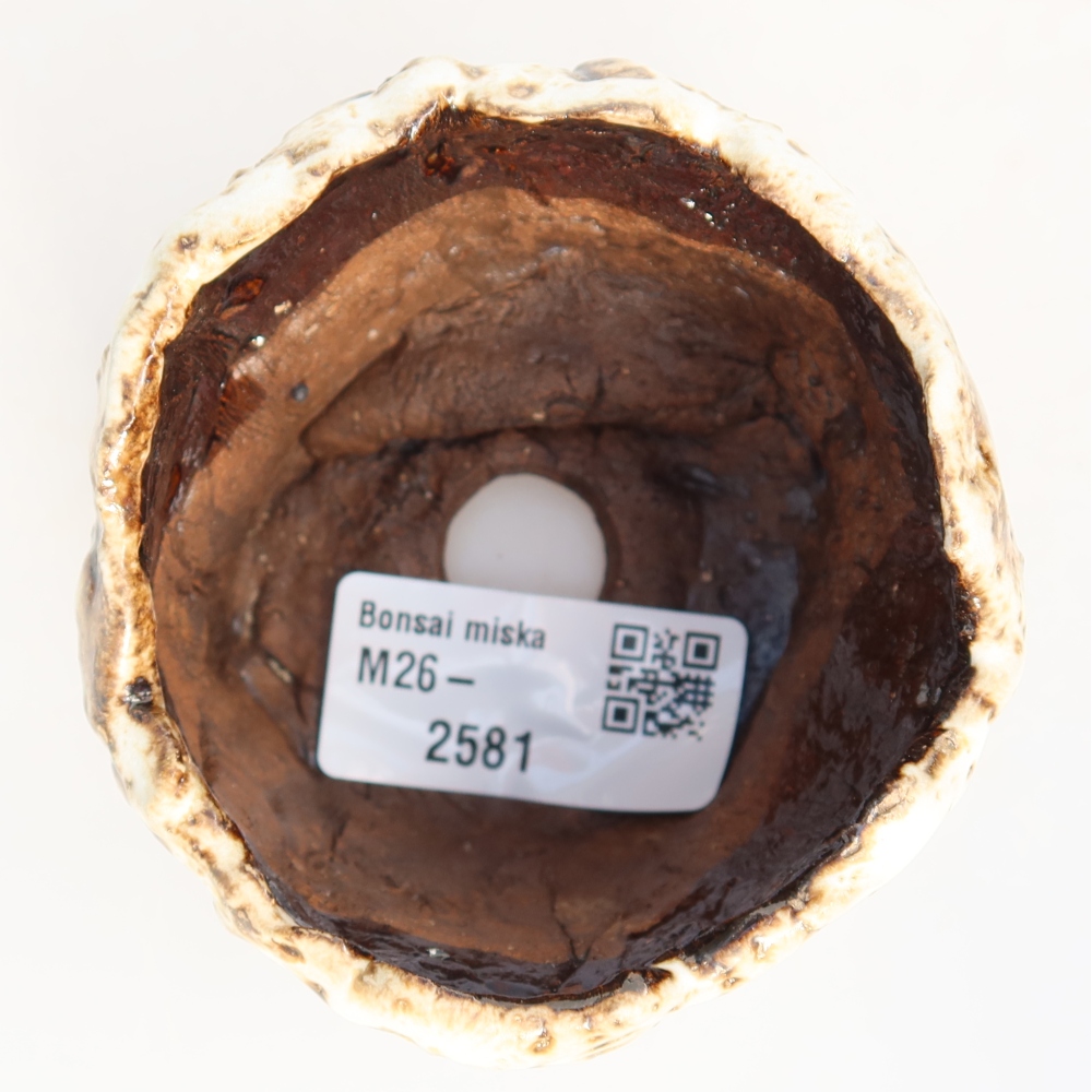 Ceramic Shell, 7.5 x 7.5 x 5 cm, white-brown