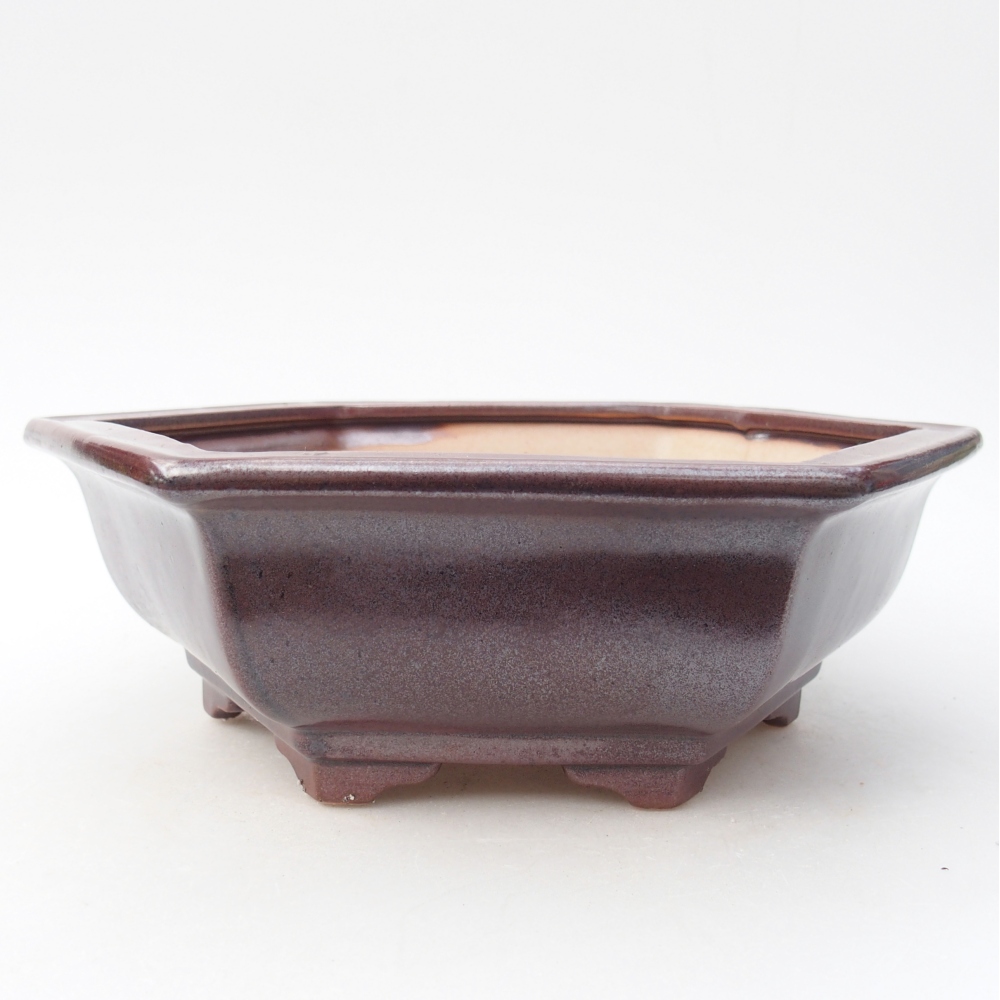 Ceramic bonsai bowl 24 x 21 x 7,5 cm, colour burgundy