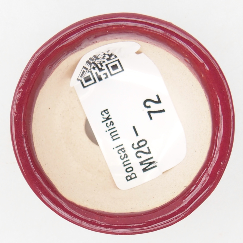 Mini bonsai bowl 4,5 x 4,5 x 2,5 cm, burgundy