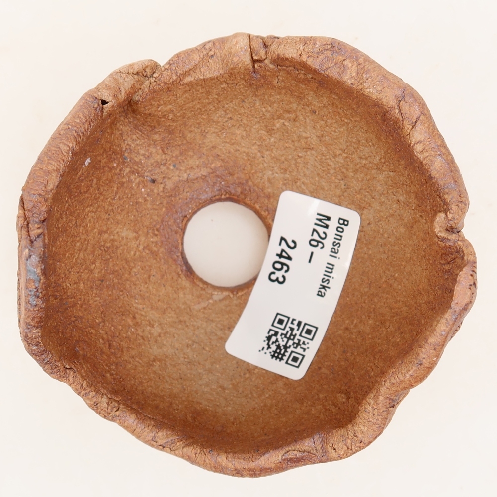 Ceramic Shell, 9 x 8 x 7 cm, brown