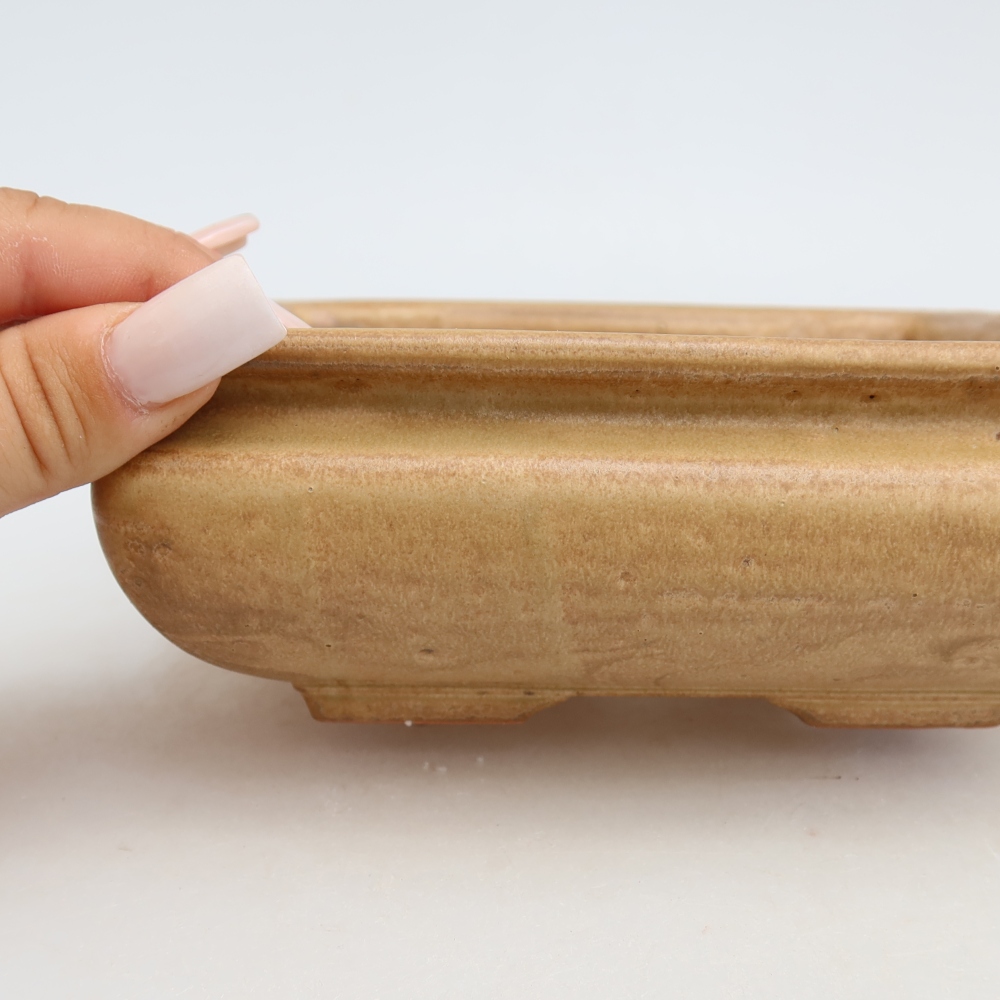 Ceramic bonsai pot, 15.5 x 15.5 x 6 cm, beige