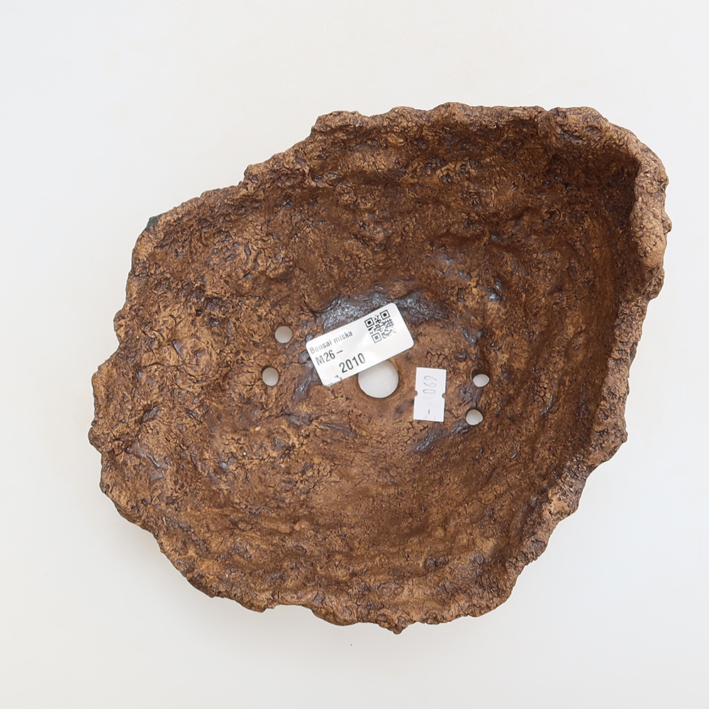Ceramic Shell, 18 x 16 x 13.5 cm, brown