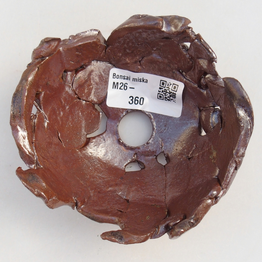 Ceramic Shell 10 x 10 x 5 cm , colour brown