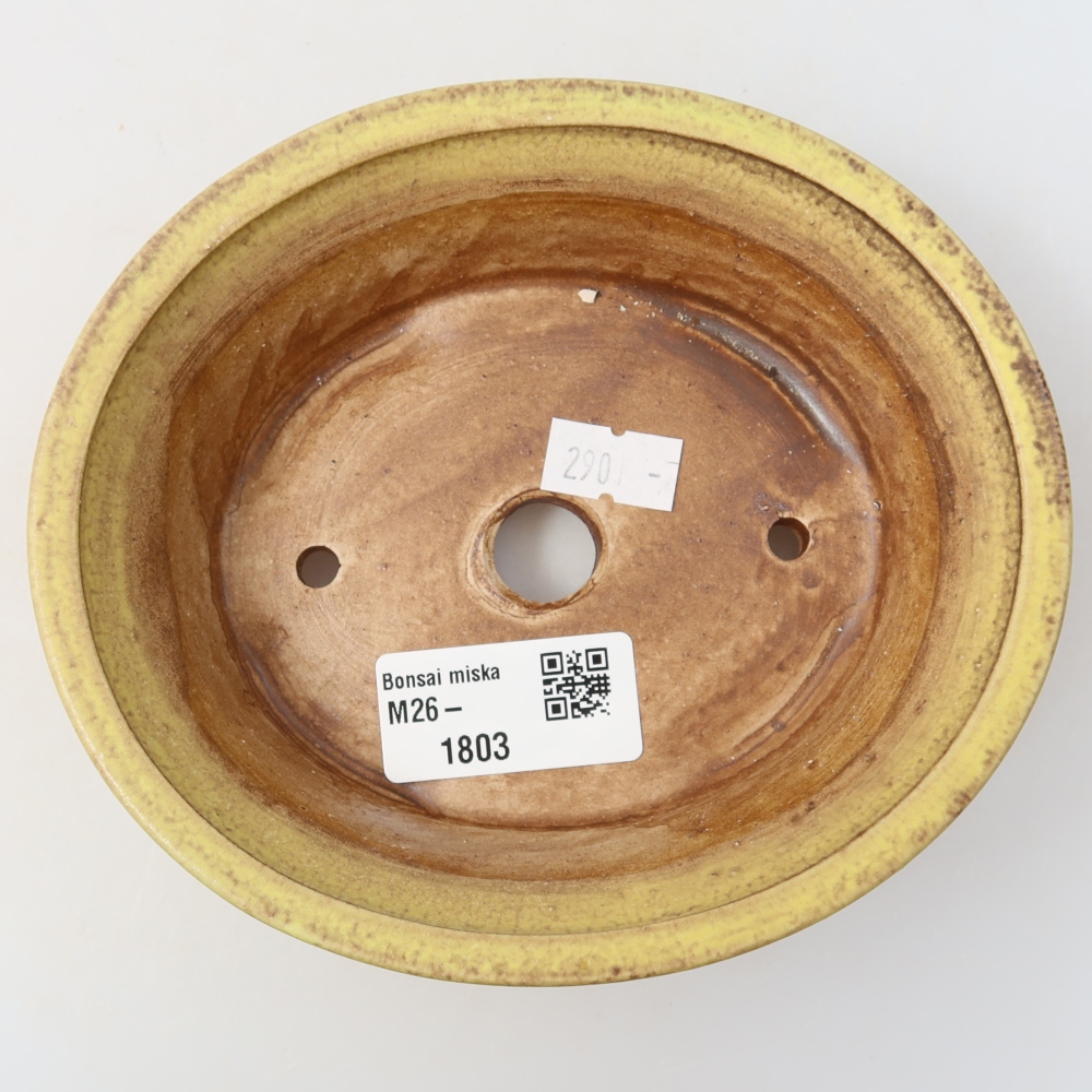 Ceramic bonsai pot, 14.5 x 12.5 x 4 cm, yellow