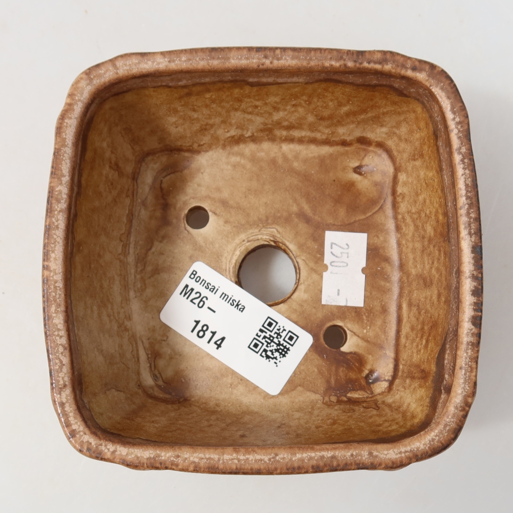 Ceramic bonsai pot, 10.5 x 10.5 x 4.5 cm, pink