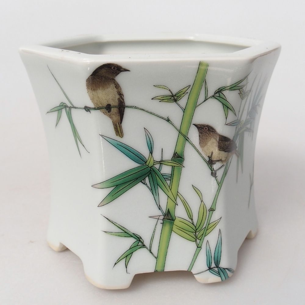 Ceramic bonsai bowl 10,5 x 9,5 x 9 cm, colour white