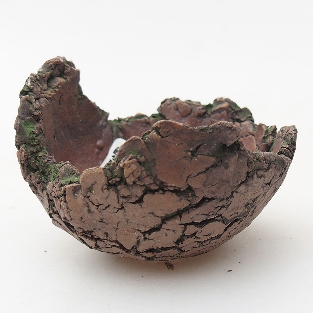 Ceramic Shell 7 x 6 x 5 cm , colour green