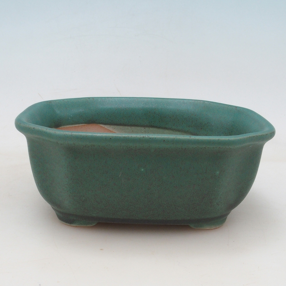 Bonsai bowl + saucer H32 - green