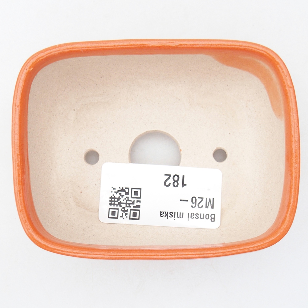 Mini bonsai bowl 8 x 6 x 3 cm, orange