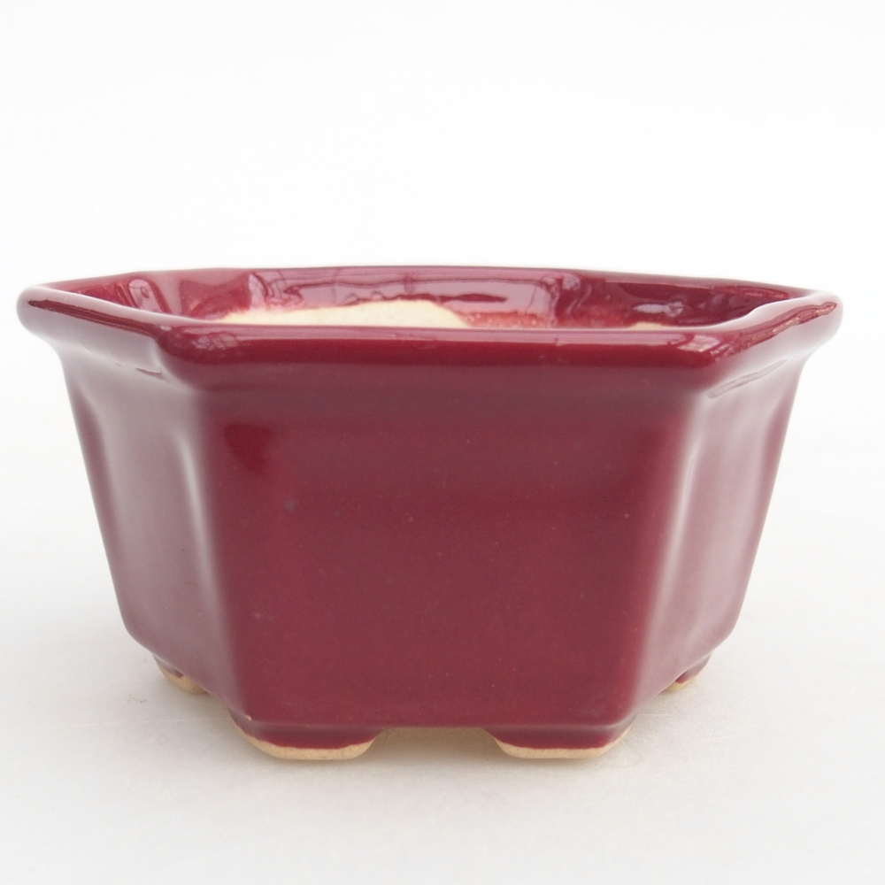 Mini bonsai bowl 8 x 7 x 4 cm, burgundy